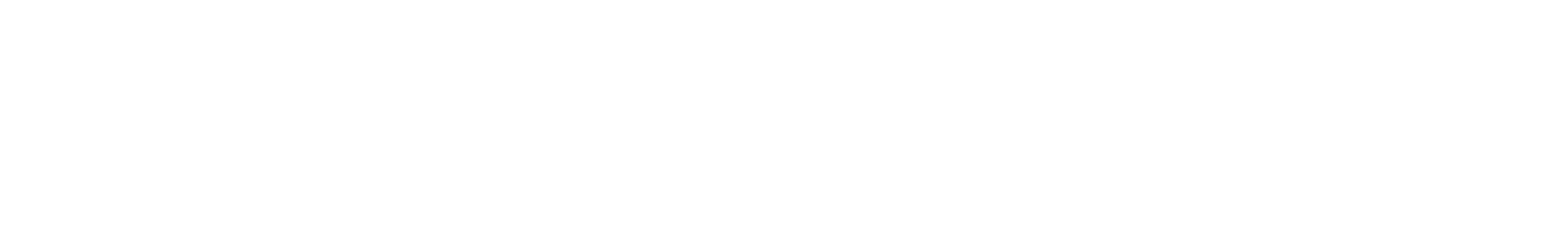 MotionMick
